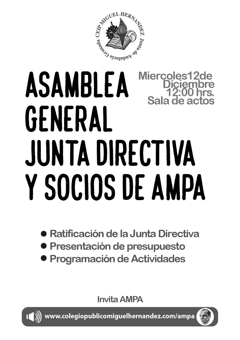 AsambleaAMPA-10