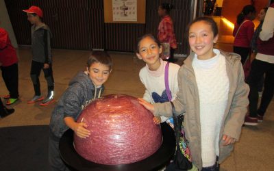 ACTIVIDADES CURSO 2017-2018